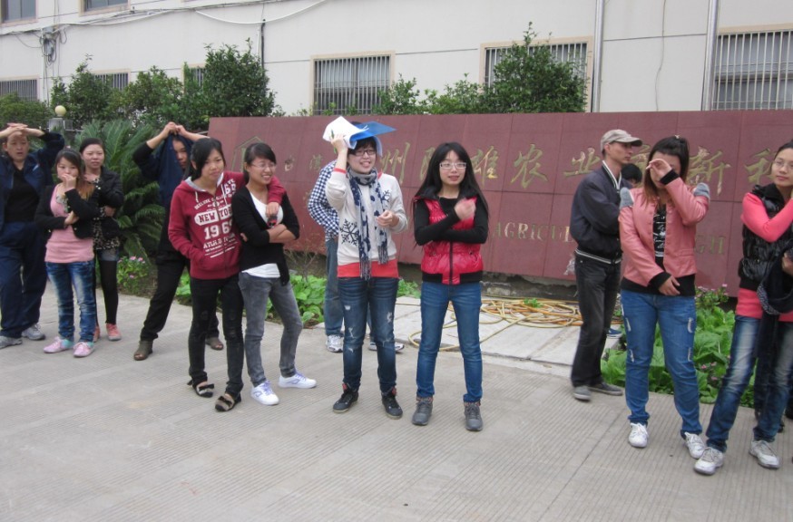 高压柱塞泵    线上买球app平台下载安装    高压微雾机